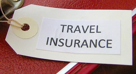 Travel Insurance in Jaipur | ID: 8654388933